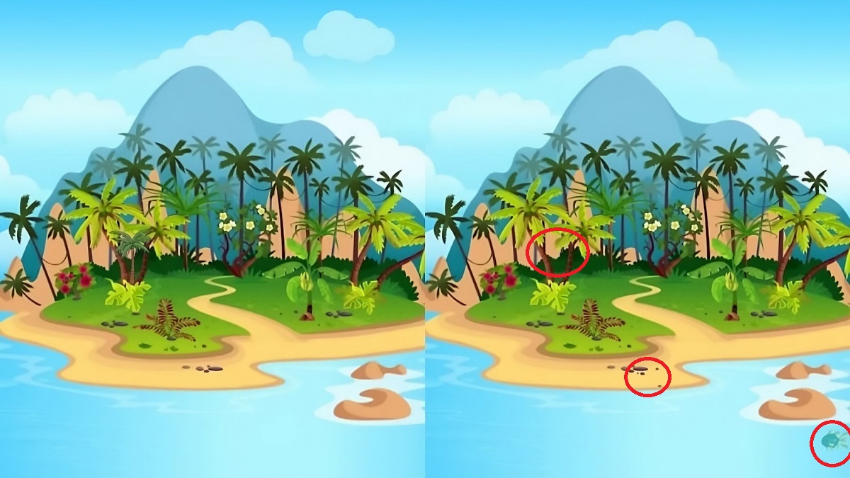 تفاوت تصویری جزیره در اقیانوس 2