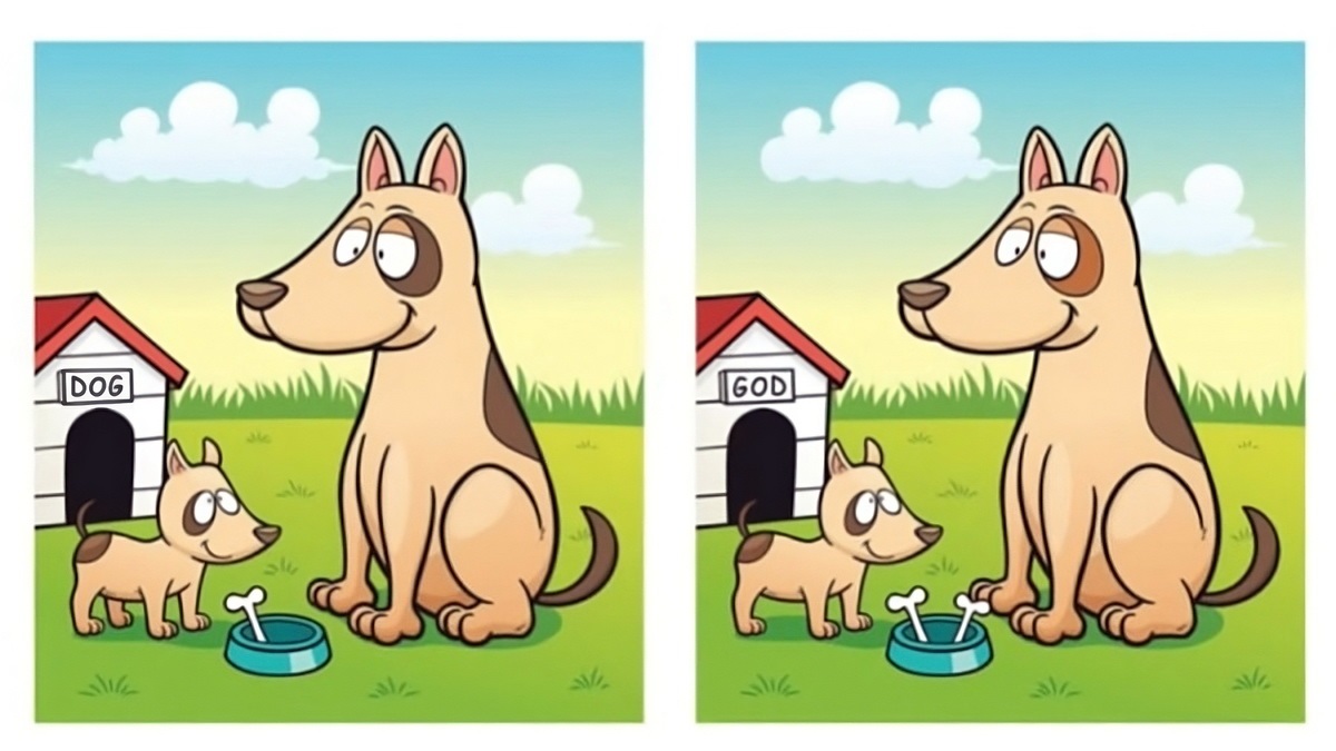 تفاوت تصویری سگ خانگی 1