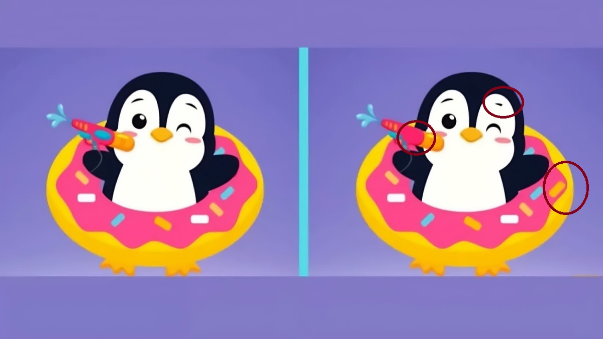 تفاوت تصویری پنگوئن بازیگوش 2