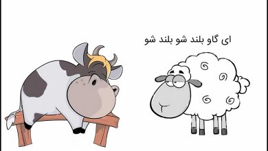 داستان طنز گاو و گوسفند
