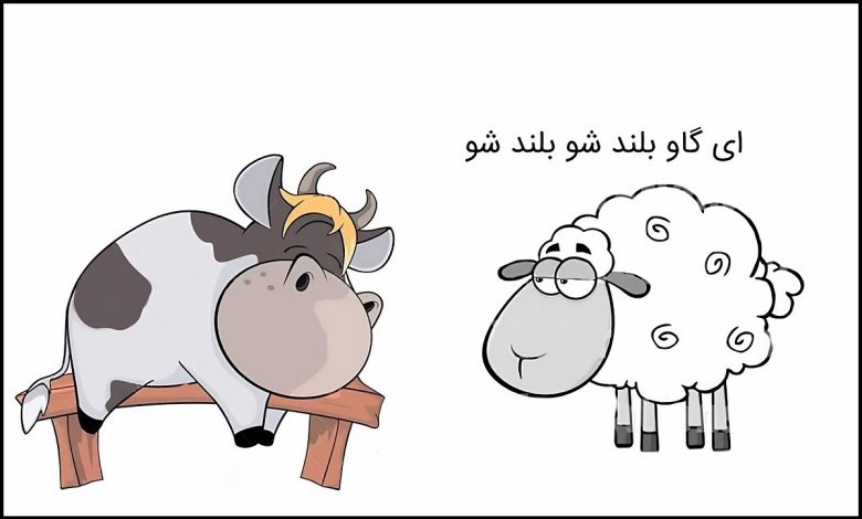 داستان طنز گاو و گوسفند