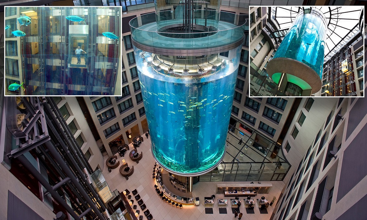 عجیب ترین آسانسورهای دنیا عکس2