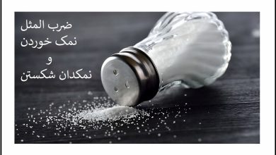 ضرب المثل نمک خوردن و نمکدان شکستن