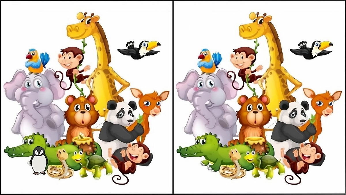تفاوت تصویری حیوانات جنگل 1