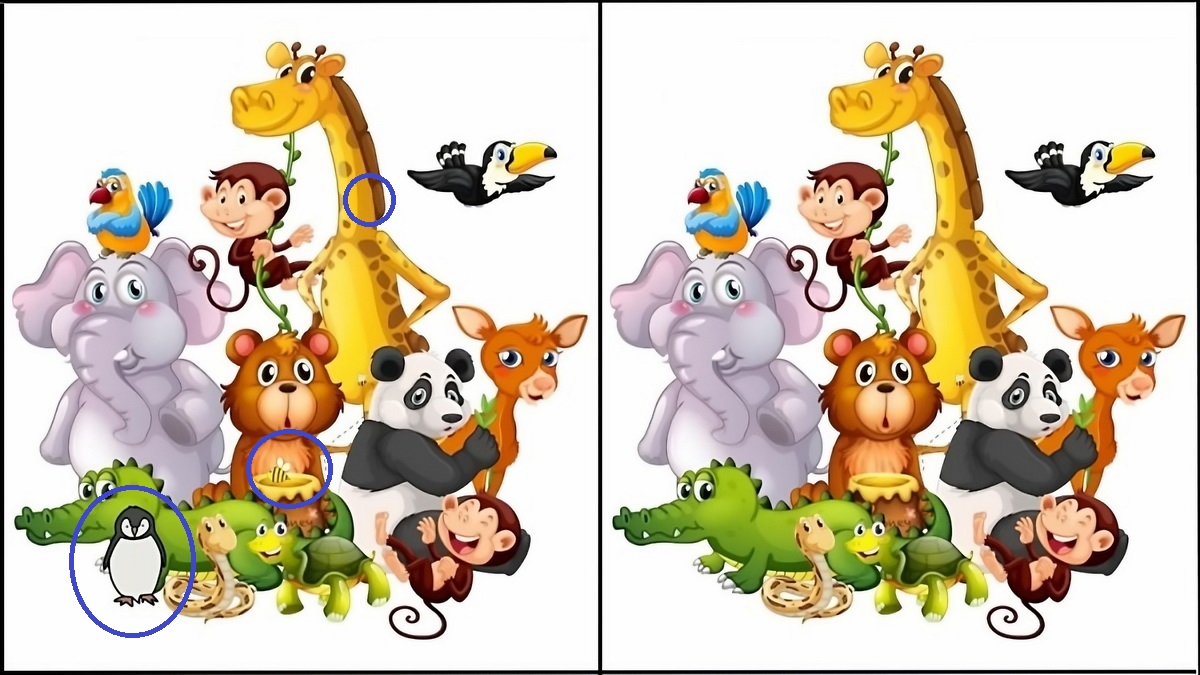 تفاوت تصویری حیوانات جنگل 2