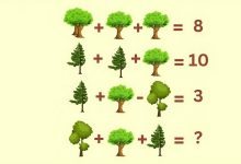 معمای ریاضی درختی