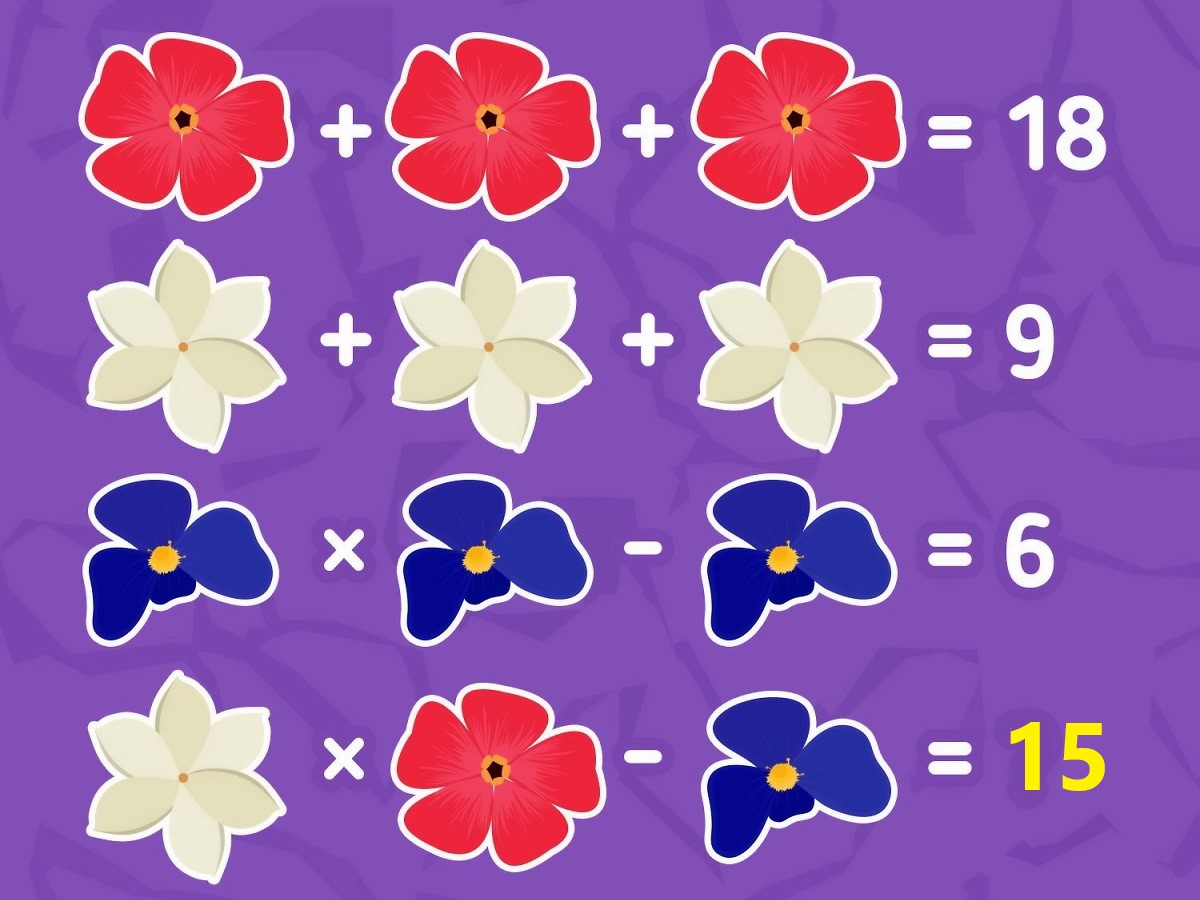 آزمون هوش ریاضی با گل های رنگی 2