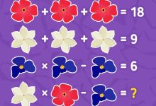 آزمون هوش ریاضی با گل های رنگی