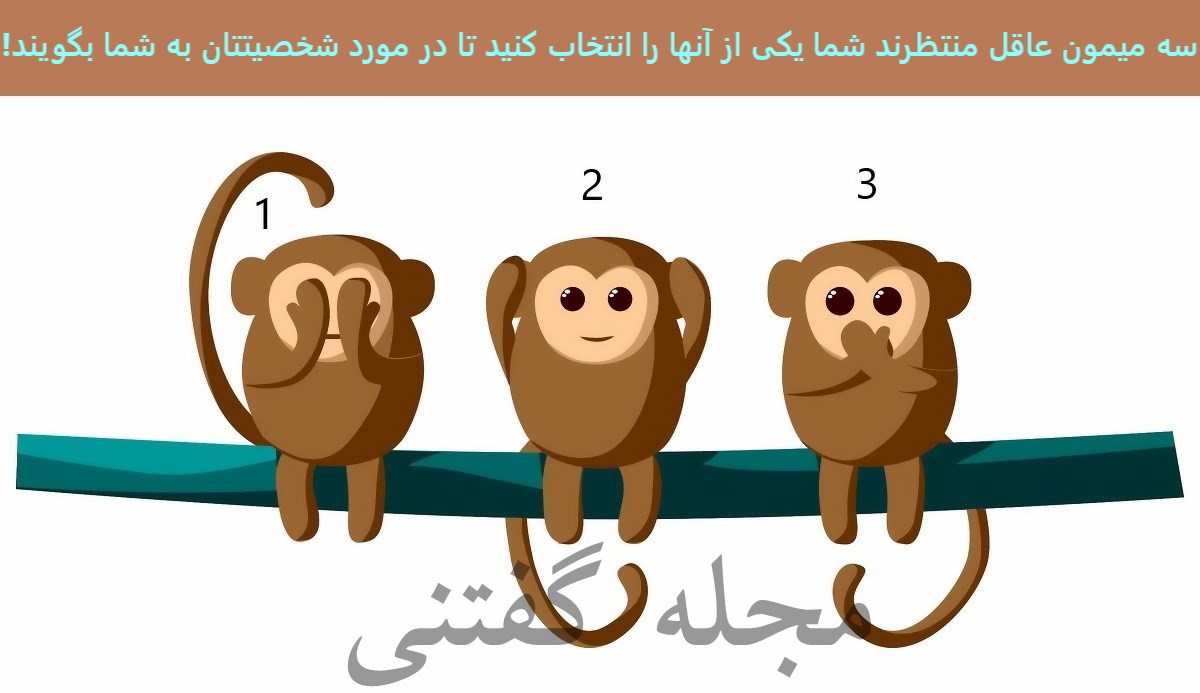 تست شخصیت سه میمون عاقل 1
