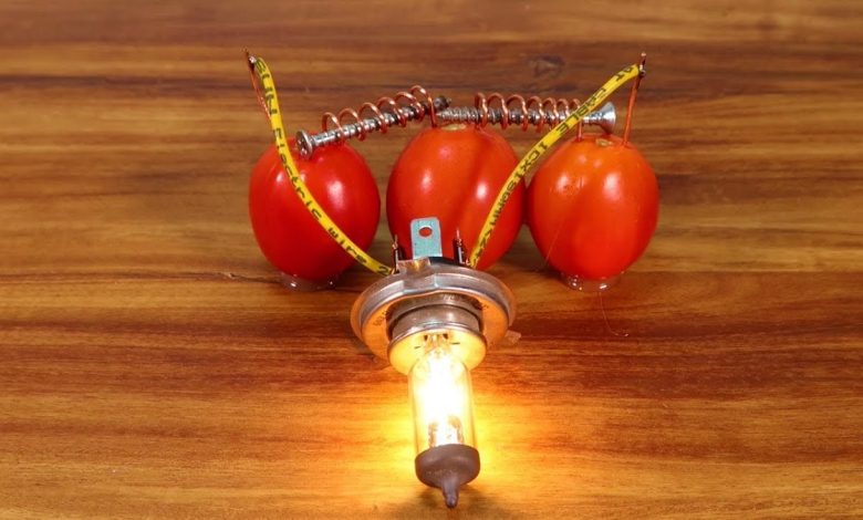 روشن شدن لامپ با گوجه فرنگی