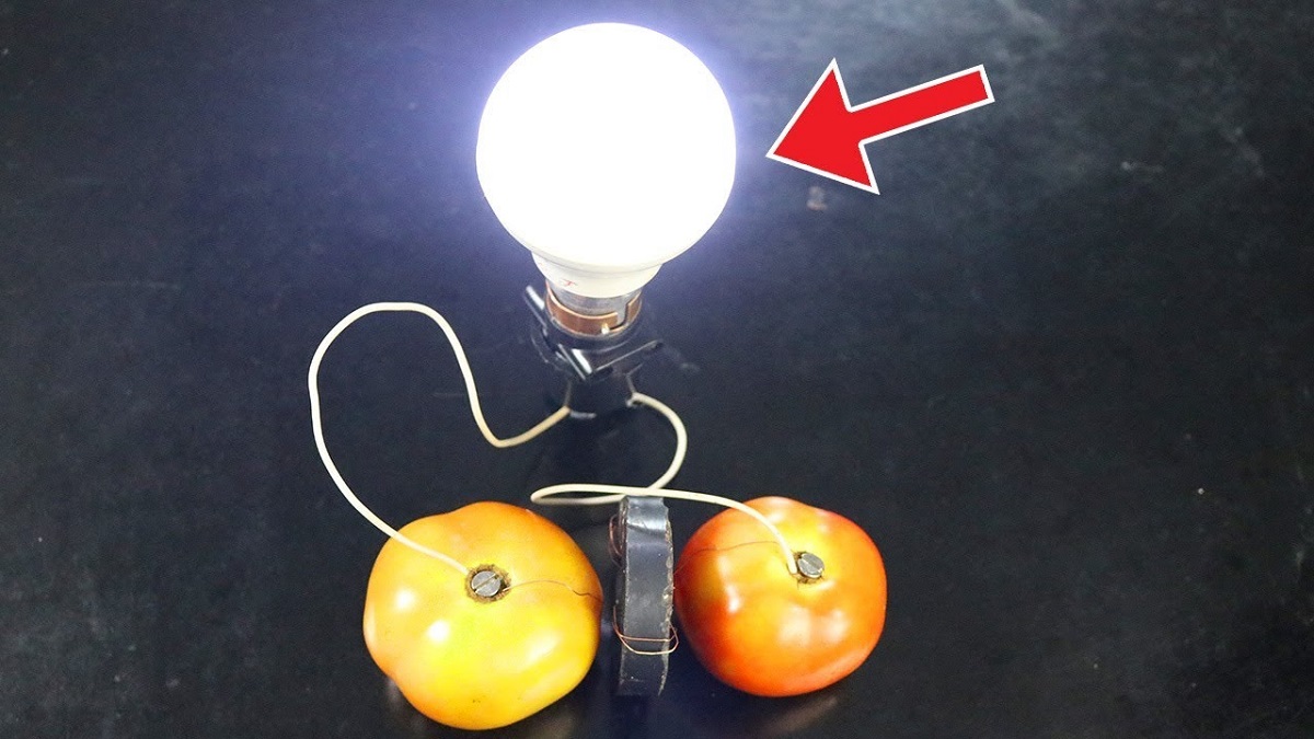 روشن شدن لامپ با گوجه فرنگی1