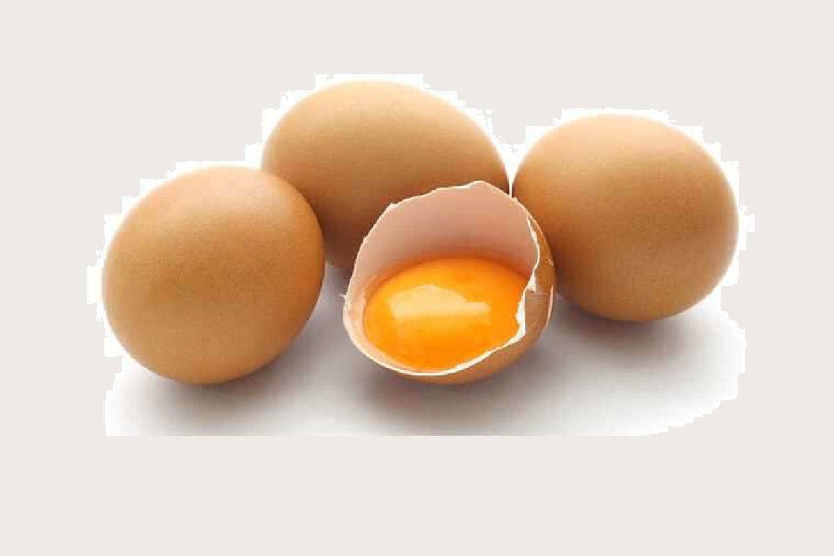 شیوه استفاده از تخم مرغ برای موهای خشک و چرب1