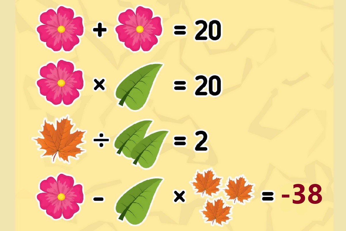 معمای هوش ریاضی با برگها 2
