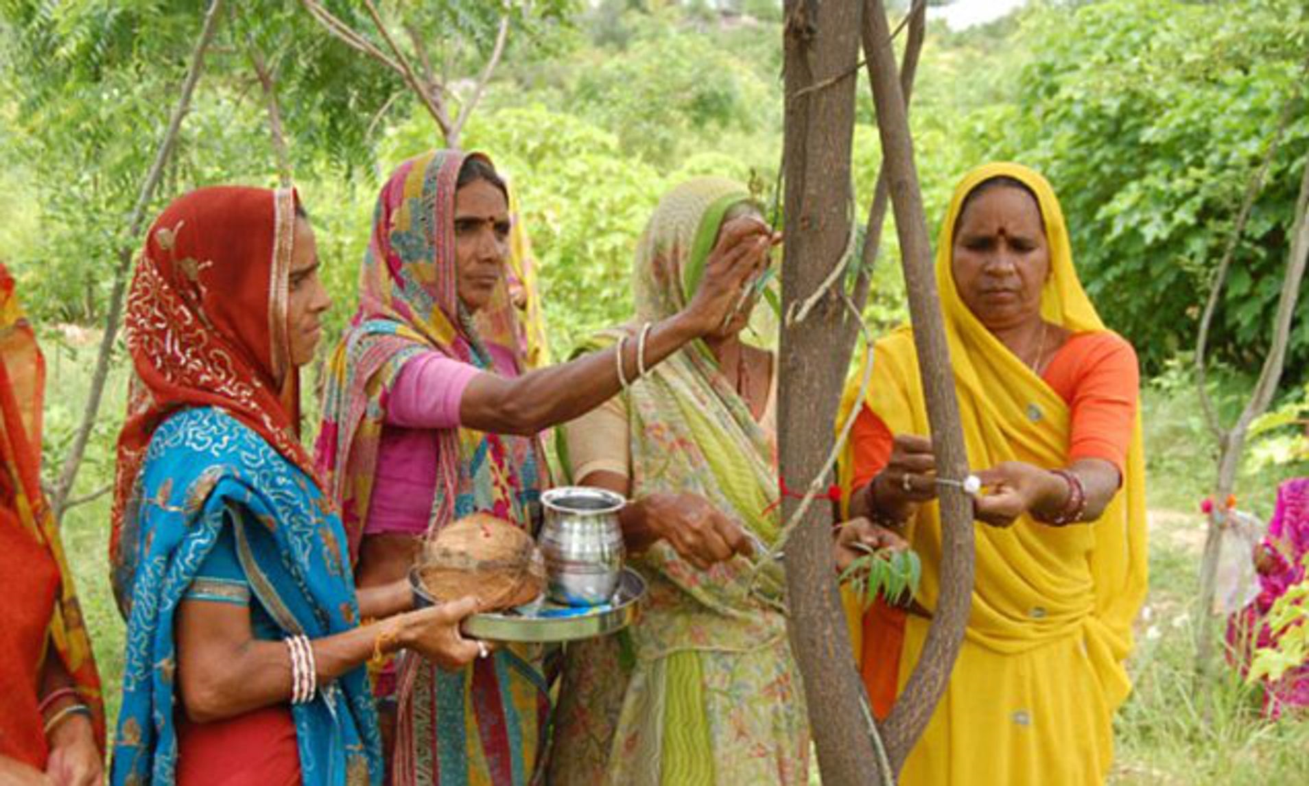 ازدواج زنان با درخت1