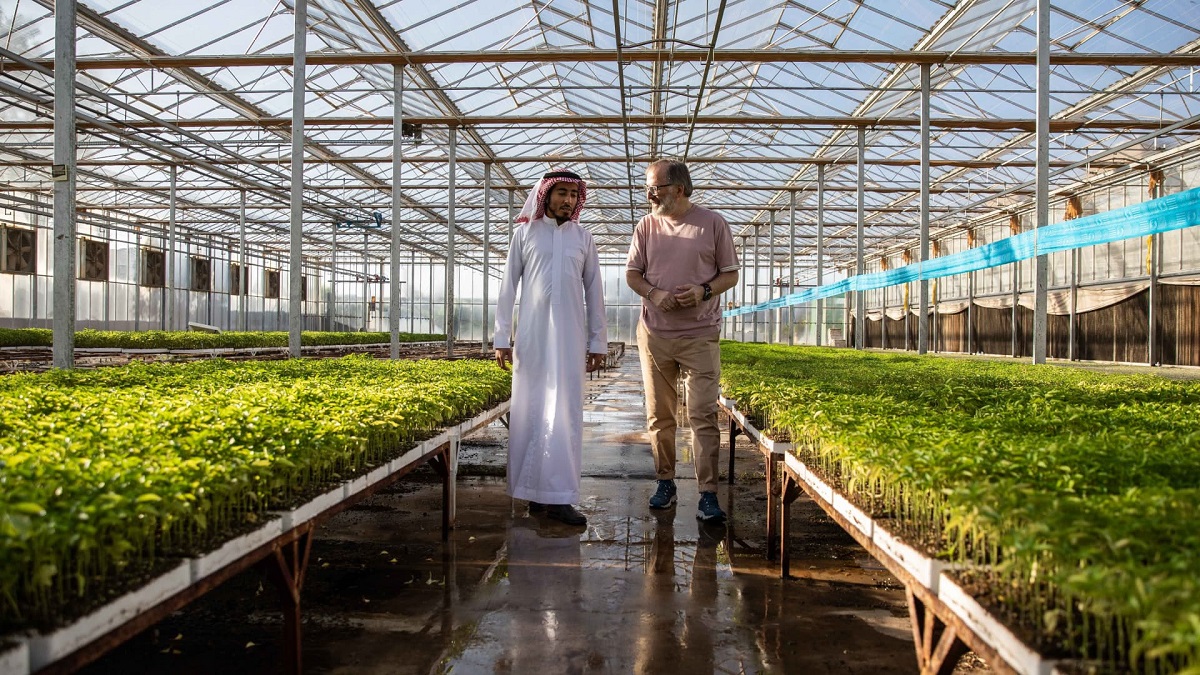 کشاورزی در بیابان عربستان