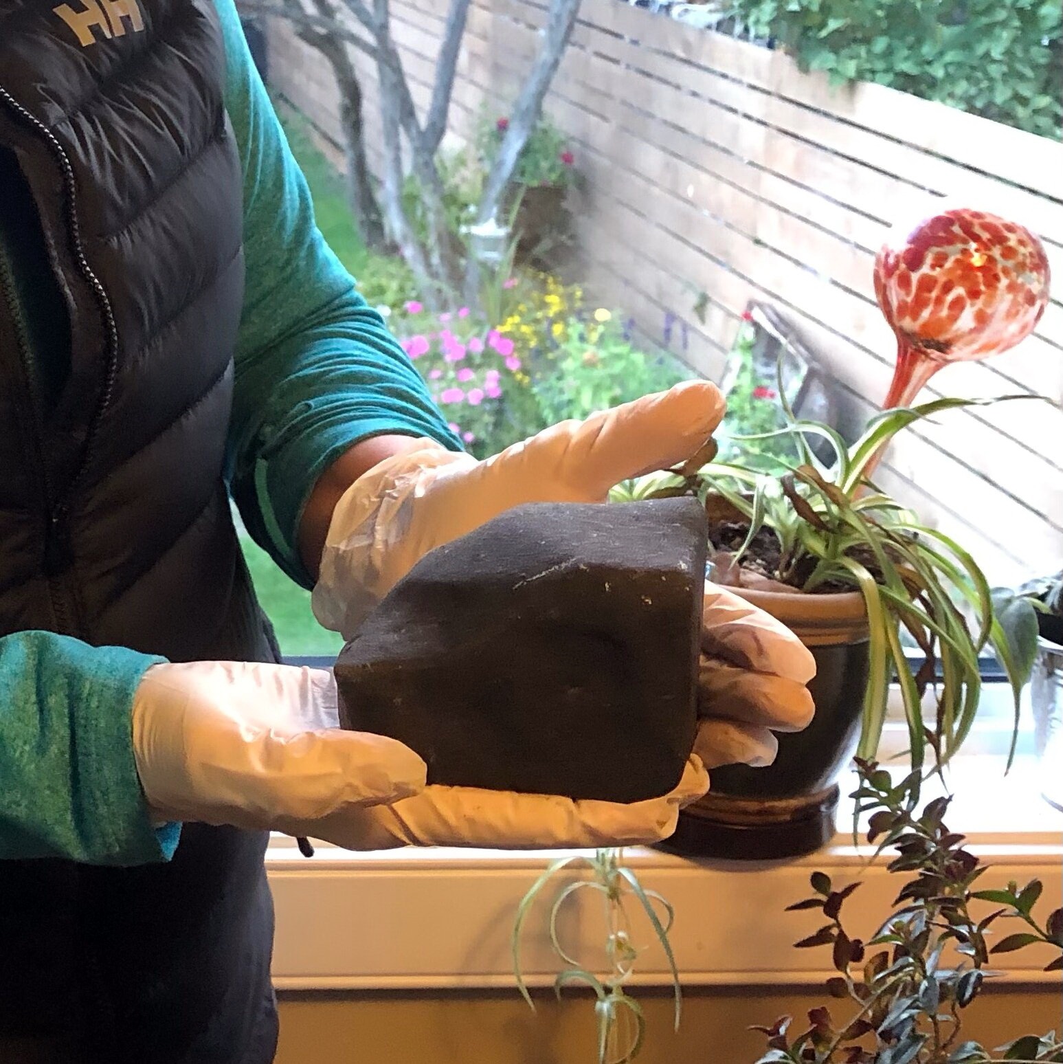 کشف شهاب سنگ در باغچه خانه زن فرانسوی