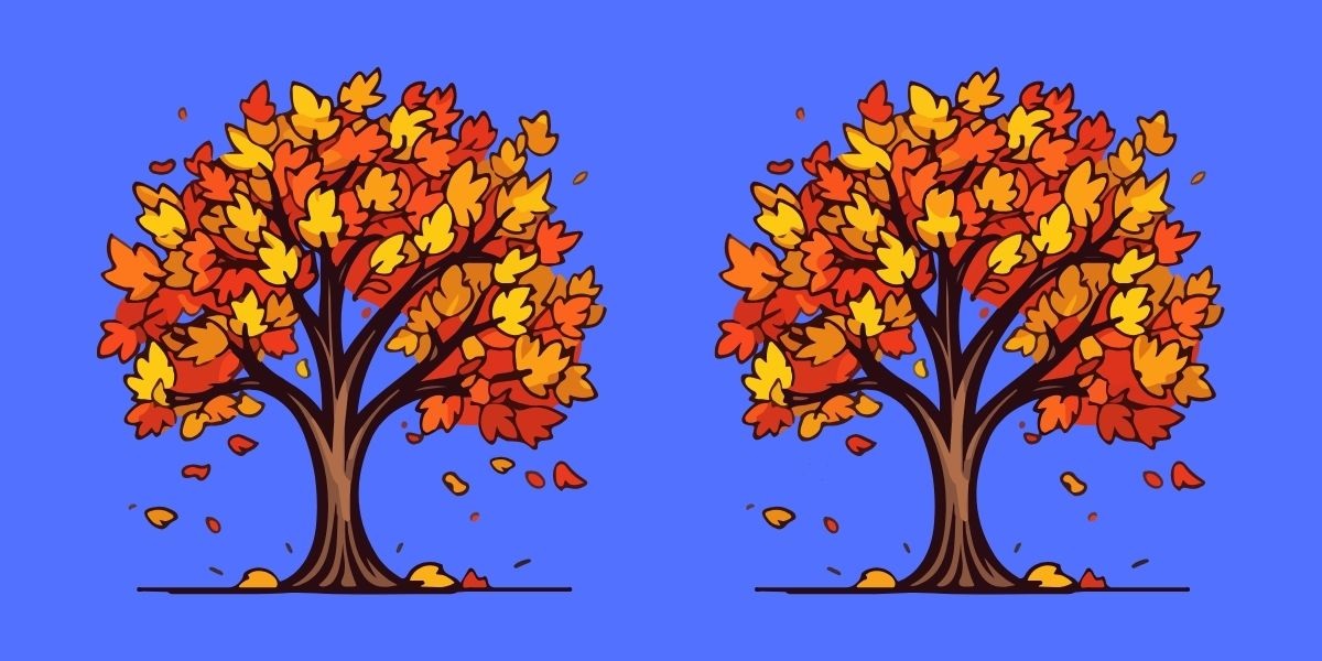 آزمون شناسایی تفاوت درختان پاییزی