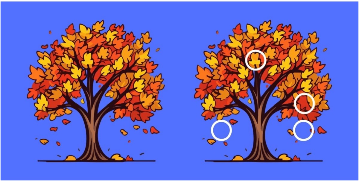 آزمون شناسایی تفاوت درختان پاییزی