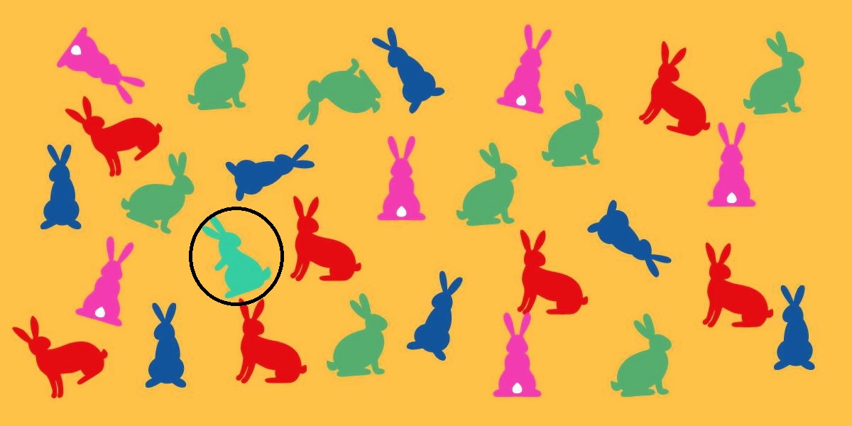 آزمون بینایی با خرگوش متفاوت 2