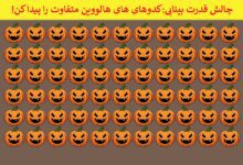 آزمون شناخت کدوهای هالووین متفاوت1