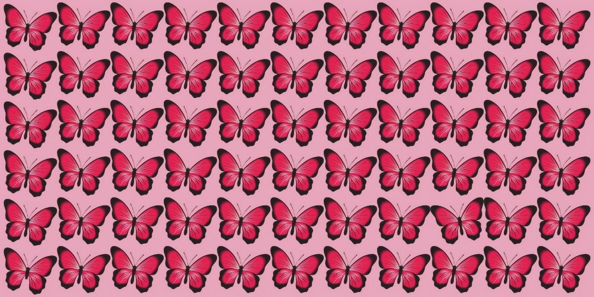 تست تمرکز بینایی با پروانه های متفاوت 1