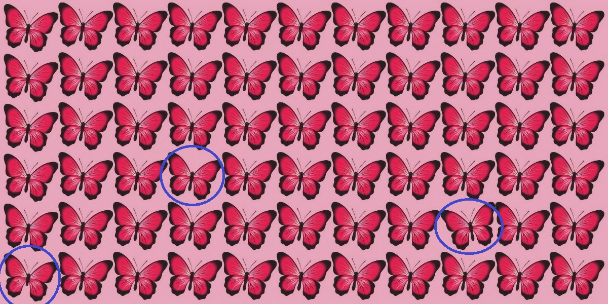 تست تمرکز بینایی با پروانه های متفاوت 2