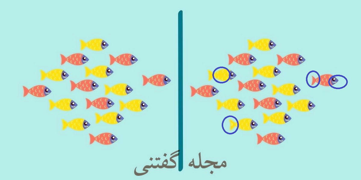 تفاوت تصویری ماهی های رنگی 2