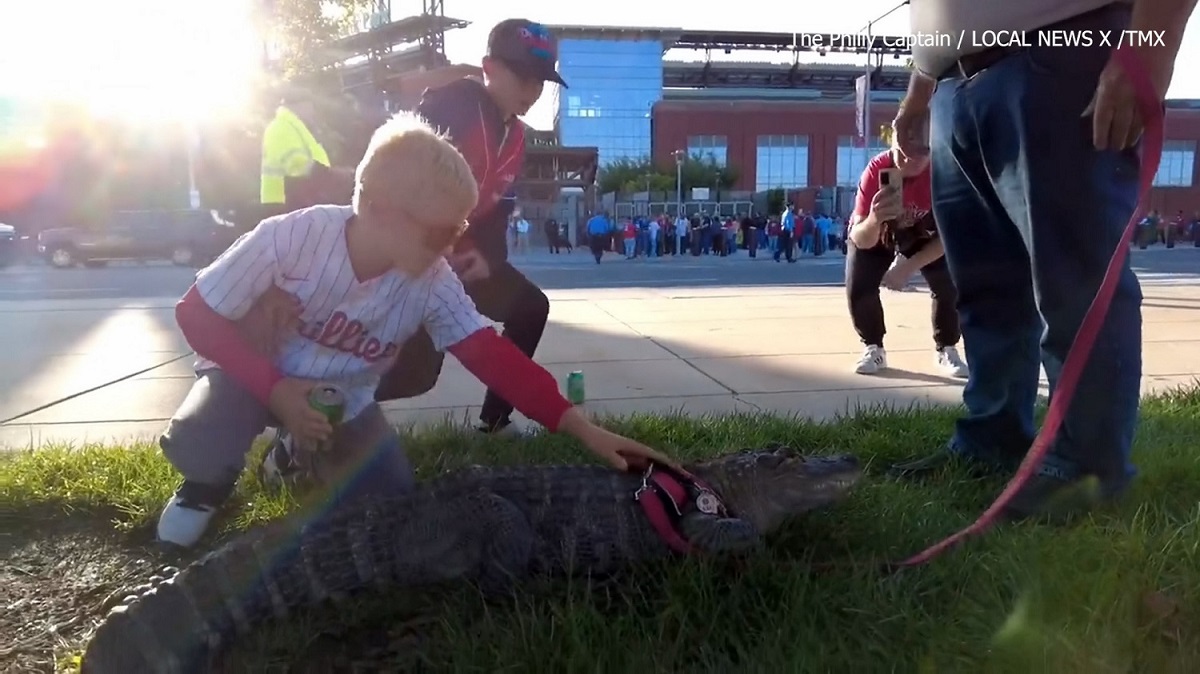 جلوگیری از ورود تمساح به ورزشگاه بیسبال