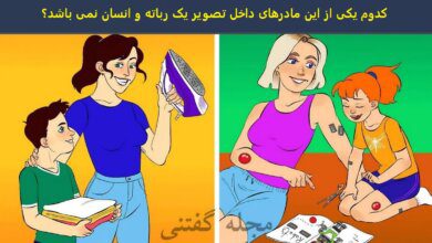 آزمون شناسایی مادر ربات