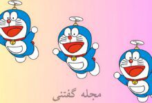 تست بینایی با گربه پرنده