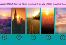 تست میزان انعطاف پذیری