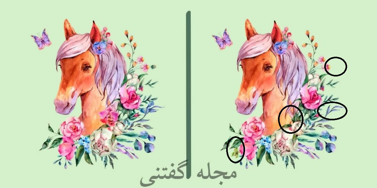 تفاوت تصویری اسب در میان گل ها 2