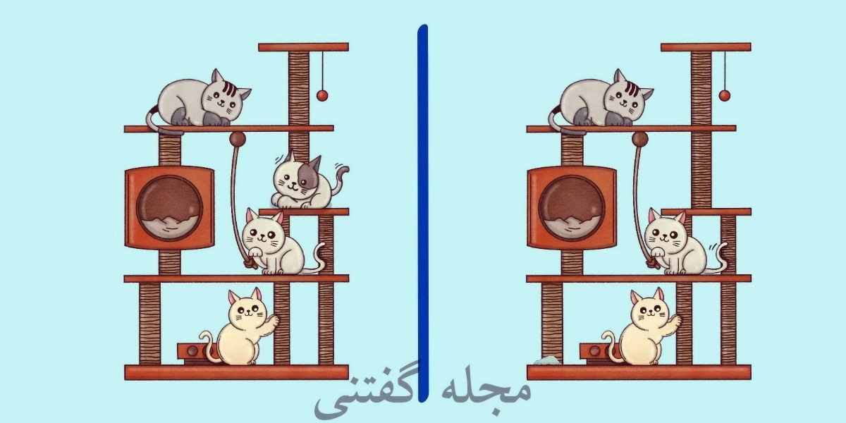 تفاوت تصویری لانه گربه ها 1