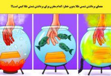 معمای-برداشتن-شمس-طلا-بدون-خطر-1