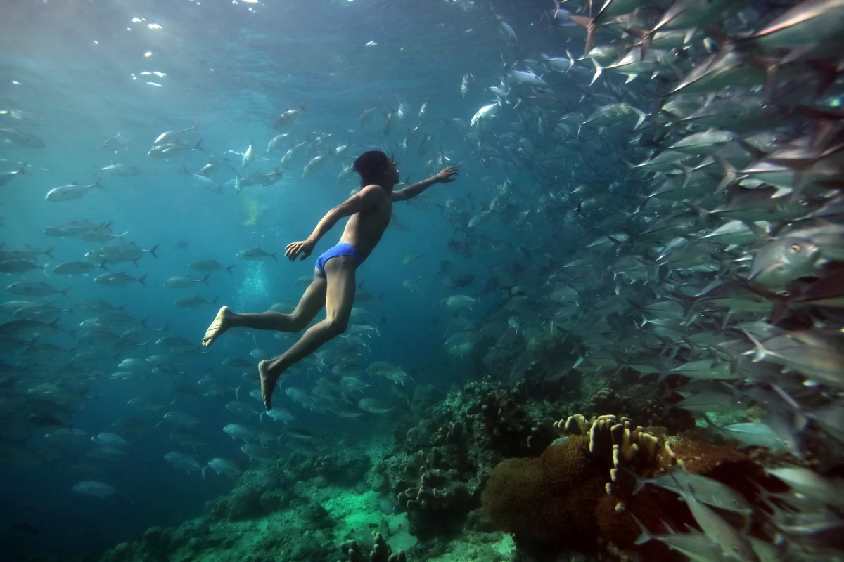 جهش ژنتیکی و شنا در اعماق دریا در قبیله باجائو