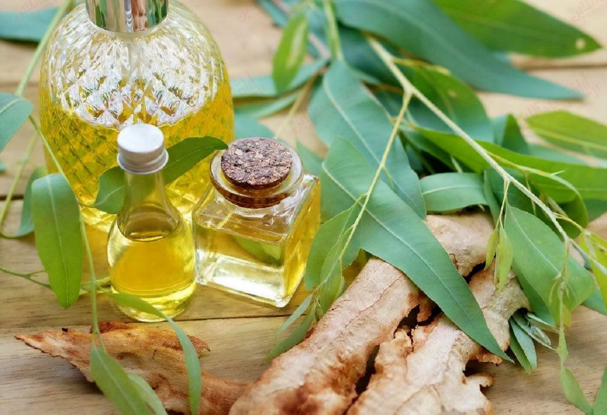 درمان آبریزش بینی با روش های طبیعی-روغن اکالیپتوس
