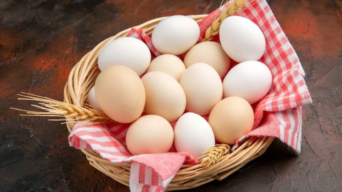 بهترین خوراکی ها برای مقابله با سرطان-تخم مرغ