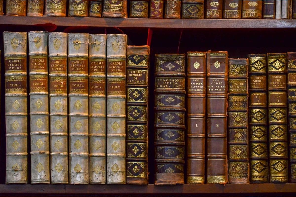 زیباترین کتابخانه جهان_قفسه ای از کتابهای تاریخی