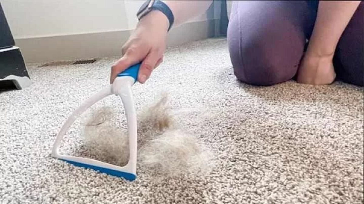 ترفندهای جمع کردن مو از روی موکت و فرش1