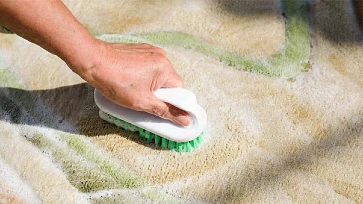 ترفندهای جمع کردن مو از روی موکت و فرش2