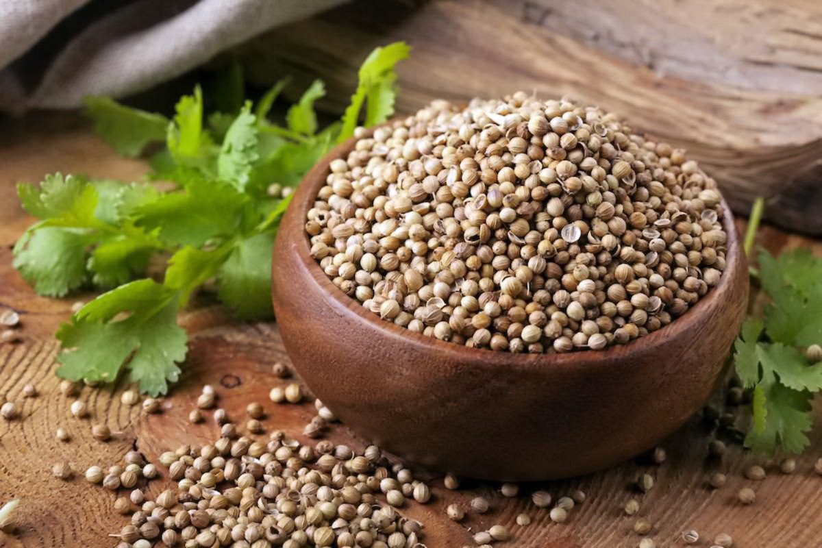 خواص گشنیز-ضد عفونی کننده قوی