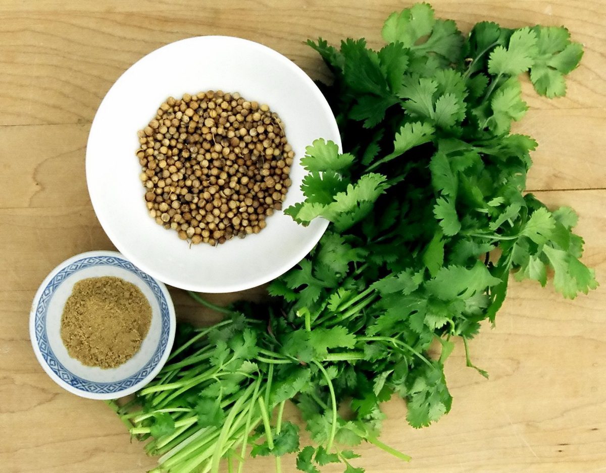 خواص گشنیز و برگ آن