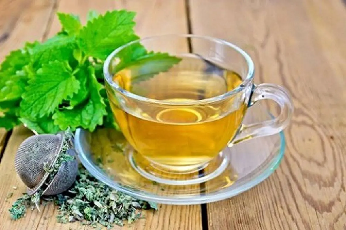 دمنوش بادرنجبویه
