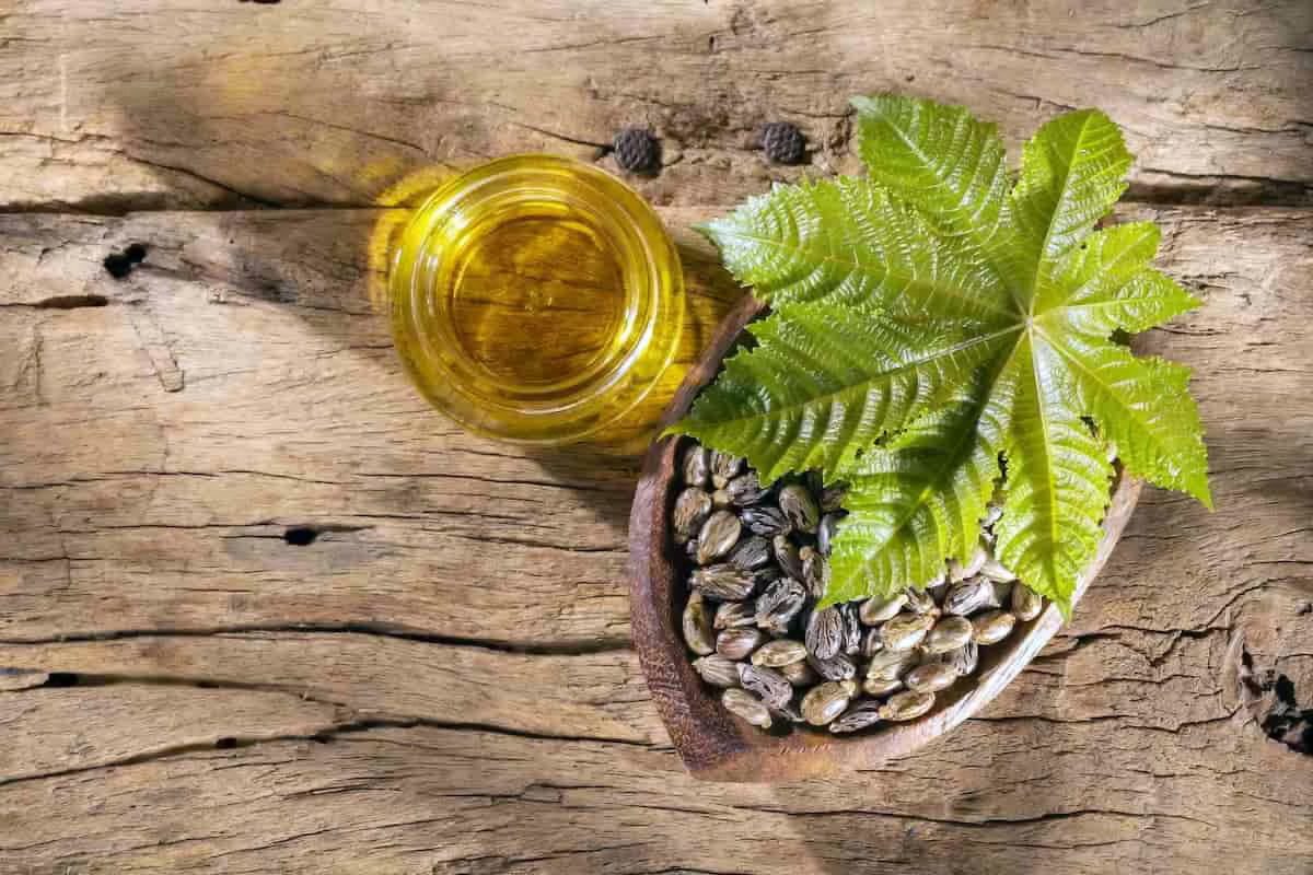 فواید عالی چرب کردن و ریختن روغن در ناف-روغن کرچک
