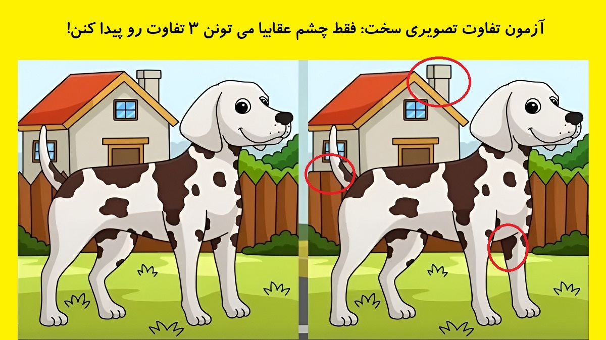 تفاوت تصویری سگ خالدار 1