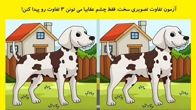 تفاوت تصویری سگ خالدار