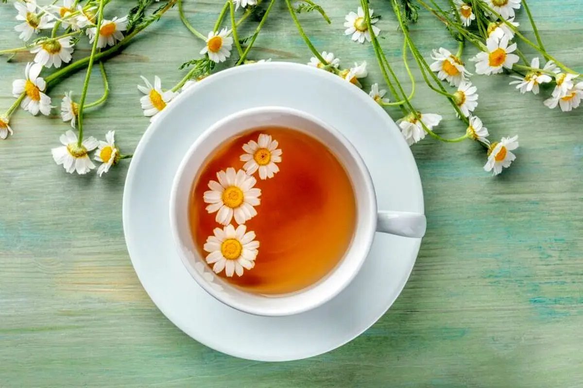 دمنوش بابونه 1