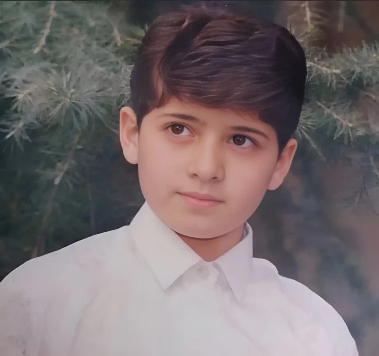 سعید شیخ زاده1