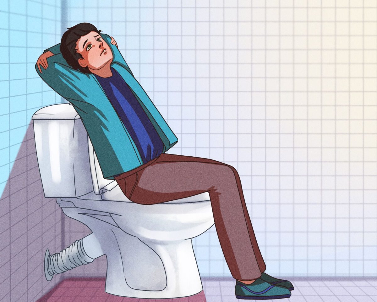نحوه صحیح استفاده از توالت فرنگی 2