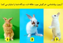 آزمون روانشناسی دیدگاه با انتخاب خرگوش